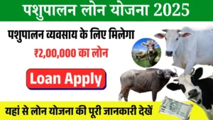 Animal Husbandry Loan Scheme: Now the youth of the village do not want a job, their own business will start, know the full information
