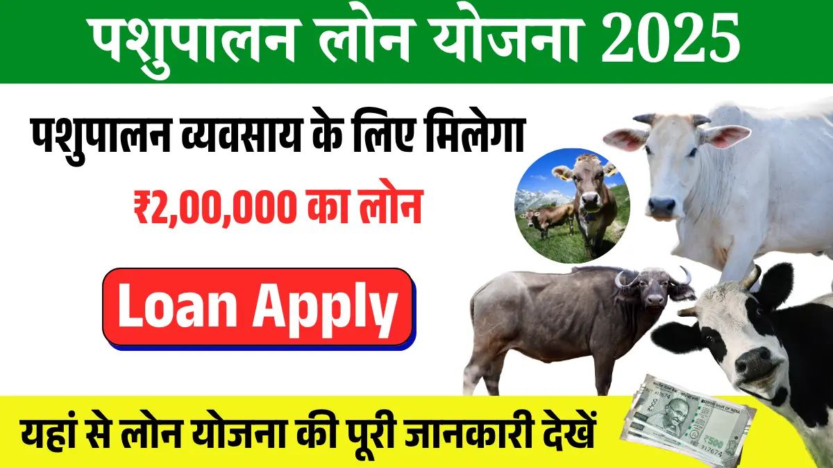 Read more about the article Animal Husbandry Loan Scheme: Now the youth of the village do not want a job, their own business will start, know the full information