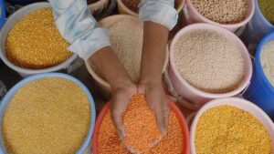 Read more about the article The government says that pulses, oilseed production increases while expressing concern over MPS imports