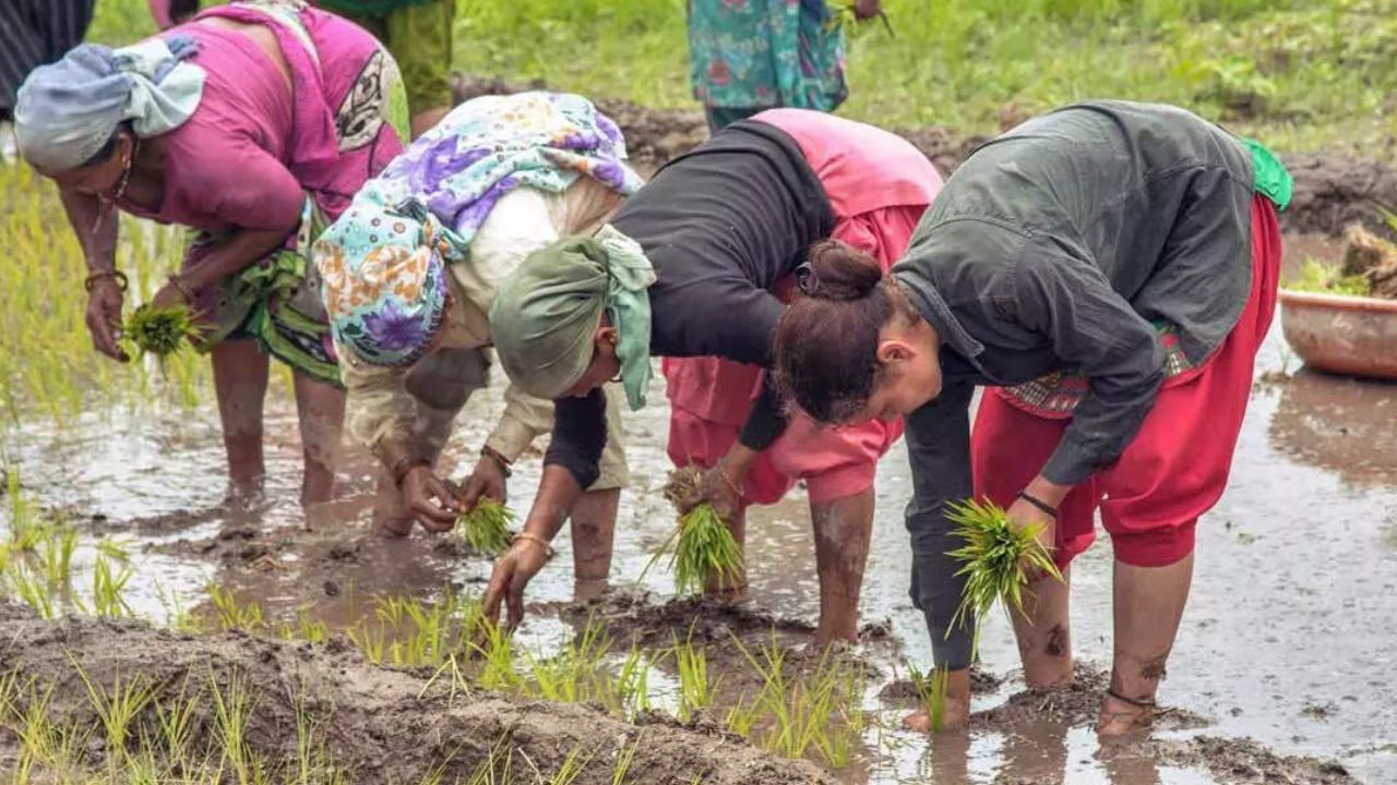 Read more about the article Agriculture Minister says that communication with farmers will continue; The 15-day-day agricultural campaign concludes