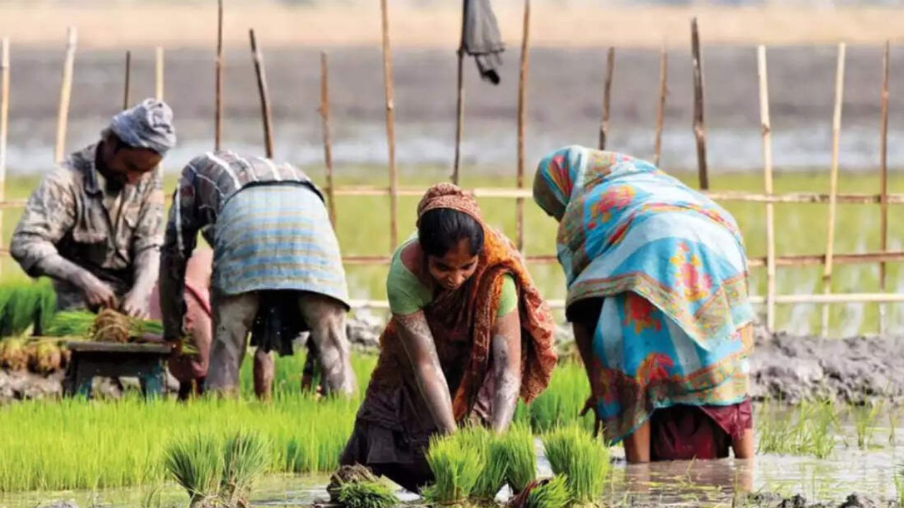 Read more about the article China now hinders agriculture to India by Magnette